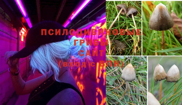 марки lsd Балахна