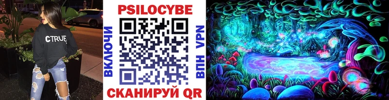 Псилоцибиновые грибы GOLDEN TEACHER KRAKEN онион Светогорск даркнет сайт